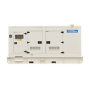 300KVA Diesel Generator 400V, 3 Phase: Powered by Perkins: WPS300S Front