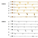 Brillenketten &amp; Bügel CM001-040