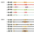 Gafas cadenas y correa CB001-028