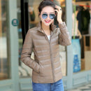 7XL Frauen 90% weiße Entendaunenmäntel 4XL 5XL Frauen ultraleichte Entendaunenjacken Herbst-Winter-warme Stehkragen-Wandermäntel