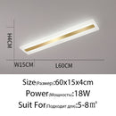 Acryl-Flur-LED-Deckenleuchten für Wohnzimmer Plafond home Lighting Deckenleuchte homhome Beleuchtungskörper Moderner Balkon