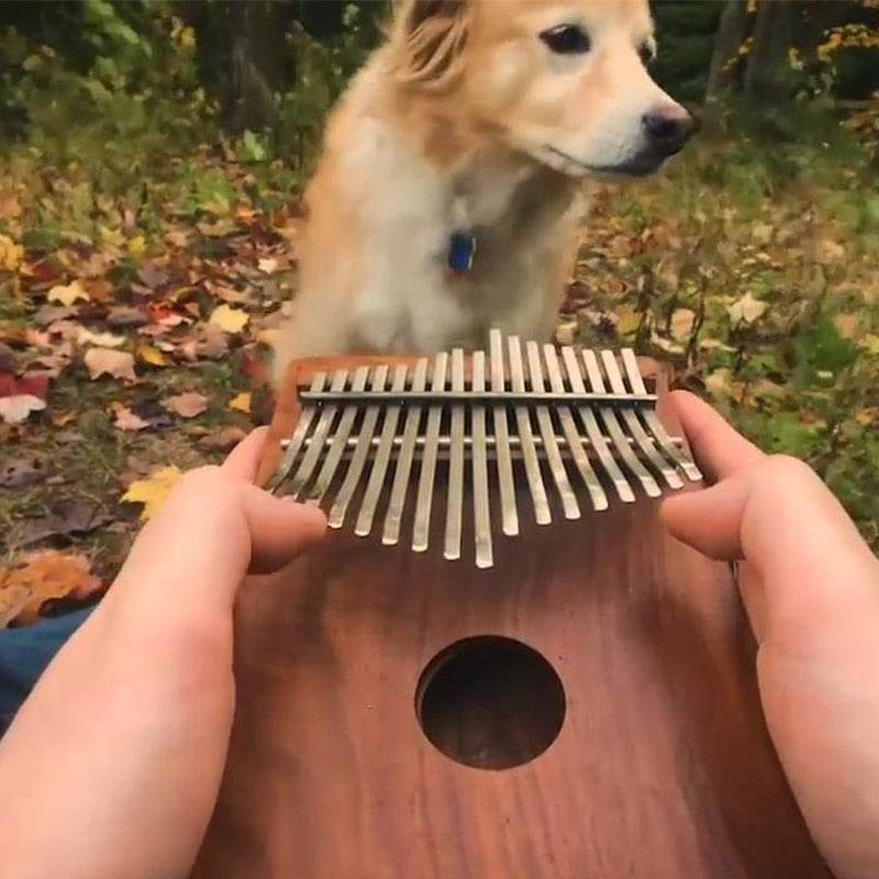 17 Tasten, schwarz, stilvolles Kalimba-Daumenklavier, Mahagoni-Körper, Musikinstrument