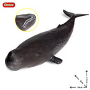 Oenux Large Size Sea Life Animals Weicher Weißer Hai Big Shark Actionfiguren Modell Lebensechtes Lernspielzeug Für Kinder Geschenk