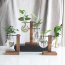 Glass Wood Vase Planter Terrarium Table Desktop Hydroponics Plant Bonsai Hanging Flower Pot with Wooden Tray Home Decoration