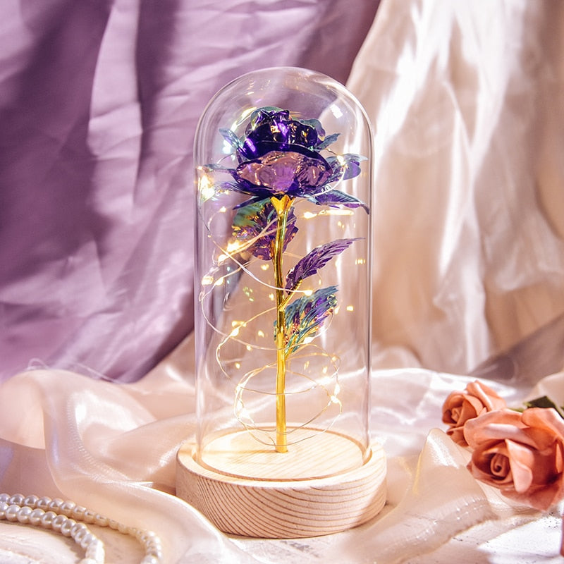 Weihnachtsgeschenk Schönheit und das Biest Konservierte Rosen im Glas Galaxy Rose Blume LED-Licht Kunstblume Geschenk für Frauen Mädchen