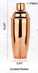 Cocktail-Shaker-Set, 16-teiliges Barkeeper-Set für Mixer, Wein, Martini, Edelstahl-Bar-Werkzeug, Zubehör für Getränkepartys zu Hause