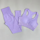 Fitness Frauen Yoga Set Nahtlose Sportbekleidung Workout Sport Leggings+Top+BH Gym Set Frau Gym Kleidung Shorts Sets 2021 HEISS