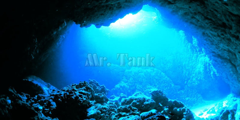 Mr.Tank 3D-Effekt Unterwasser-Sonnenlichtstrahlen Höhlen-Aquarium-Hintergrund-Aufkleber, selbstklebende Aquarium-Hintergrunddekorationen