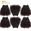 6Pcs/Lot Peruvian Curly Bundles Jerry Curl Double Drawn Human Hair Remy Funmi Hair T1B 30 99J Colored Hair Extension Htonicca