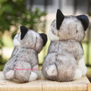20-30cm cute husky dog plush toy wolf soft stuffed animal cute plush kawaii children doll fluffy birthday gift child boy WJ131