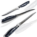 6-Zoll-Damaskus-Küchen-Ausbeinmesser 67 Schichten VG10 Japanisches Damaskus-Küchenmesser Filetier-Schneidmesser Geschenkbox Grandsharp