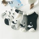 5 Paar/Los Baumwolle Baby Socken Drucken Schnurrbart Mädchen Jungen Kinder Socken Frühling Herbst Säuglingskleinkind Kinder Socken Für 1-3 Jahr