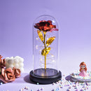 Weihnachtsgeschenk Schönheit und das Biest Konservierte Rosen im Glas Galaxy Rose Blume LED-Licht Kunstblume Geschenk für Frauen Mädchen