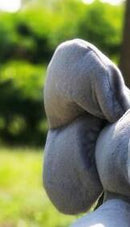 Drop Shipping 30cm Peek a Elephant Stuffed Plush Doll Electric Toy Talking Singing Musical Toy Elephant Play toys for Kids