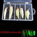 Duro/luminoso/falso/Kit de cebo artificial Wobbler caja de aparejos Minnow Popper manivela lápiz Vib invierno 5 uds juego de Señuelos de pesca nocturna