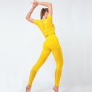 Conjunto de Yoga sin costuras para mujer, ropa de Fitness, conjunto de gimnasio de 2 piezas, Top corto, Leggings, conjunto deportivo para mujer, ropa de entrenamiento