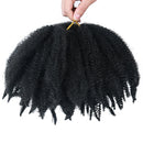 Amir Soft Afro kinky Curly Twist Trenzas Crochet Hair Extensiones de cabello trenzado sintético para mujeres negras / blancas