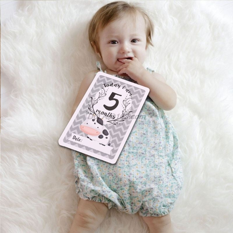 Juego de 12 hojas de tarjetas para compartir fotografías de bebés, tarjetas de edad para bebés, tarjetas de hitos para bebés, tarjetas de fotos para bebés, accesorios para fotos de recién nacidos