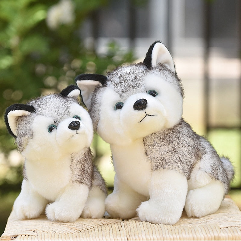 20-30cm süßer Husky Hund Plüschtier Wolf weiches Kuscheltier süßer Plüsch kawaii Kinder Puppe flauschig Geburtstagsgeschenk Kind Junge WJ131