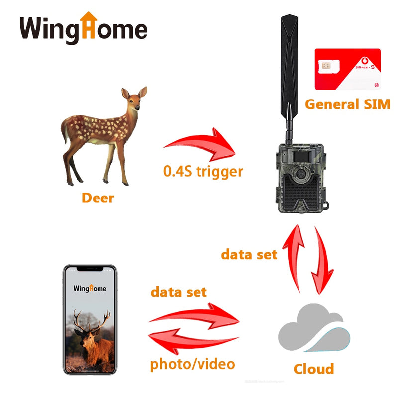 WingHome 480Ace 4G Cámara de rastreo de caza 24MP HD Cloud APP Cámara 940nm IR Forest Wildlife Game Cámara con sistema de nube GPS APP