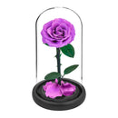 Eternal Preserved Roses In Glass Dome 5 Flower Heads Rose Forever Love Wedding Favor Mothers Day Gifts for Women Girlfriends