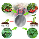 1000W Grow Light Vollspektrum-LED-Wachstumslampen für den Innenbereich AC85-265V Pflanzenwachstumsbeleuchtung für den Anbau von Pflanzen, Blumen, Sämlingen