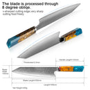 XITUO Damasco cuchillo de cocina Japón VG10 acero profesional Kiritsuke Chef cuchillo octogonal mango de resina azul nuevo Cleaver regalo caliente