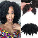 Amir Soft Afro kinky Curly Twist Trenzas Crochet Hair Extensiones de cabello trenzado sintético para mujeres negras / blancas