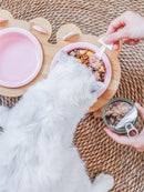 Keramik-Katzennapf Hundenapf Einzel- und Doppel-Haustiernapf Katze Hund Futternapf Wassernapf mit Ständer Futternapf Futternapf Haustierbedarf