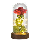 Weihnachtsgeschenk Schönheit und das Biest Konservierte Rosen im Glas Galaxy Rose Blume LED-Licht Kunstblume Geschenk für Frauen Mädchen