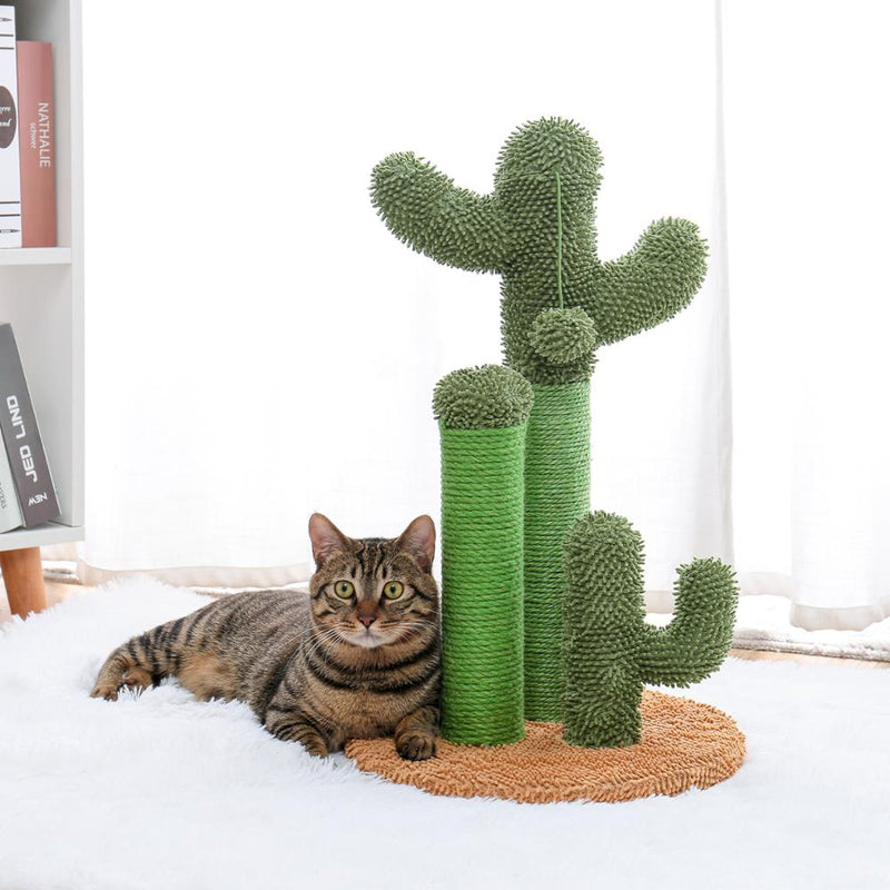 Casa de árbol de gato estilo Cactus de 2 tamaños, postes de escalada para gatos, gatitos, divertido juguete de salto, casa de gatos, rascador gato