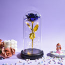 Weihnachtsgeschenk Schönheit und das Biest Konservierte Rosen im Glas Galaxy Rose Blume LED-Licht Kunstblume Geschenk für Frauen Mädchen