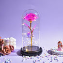 Weihnachtsgeschenk Schönheit und das Biest Konservierte Rosen im Glas Galaxy Rose Blume LED-Licht Kunstblume Geschenk für Frauen Mädchen