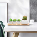 Bandeja de bambú de madera para plantas y flores, platillo con forma rectangular, soporte para Cactus suculento, bandeja para macetas, diseño elegante y sencillo, decoración del hogar, 1 ud.