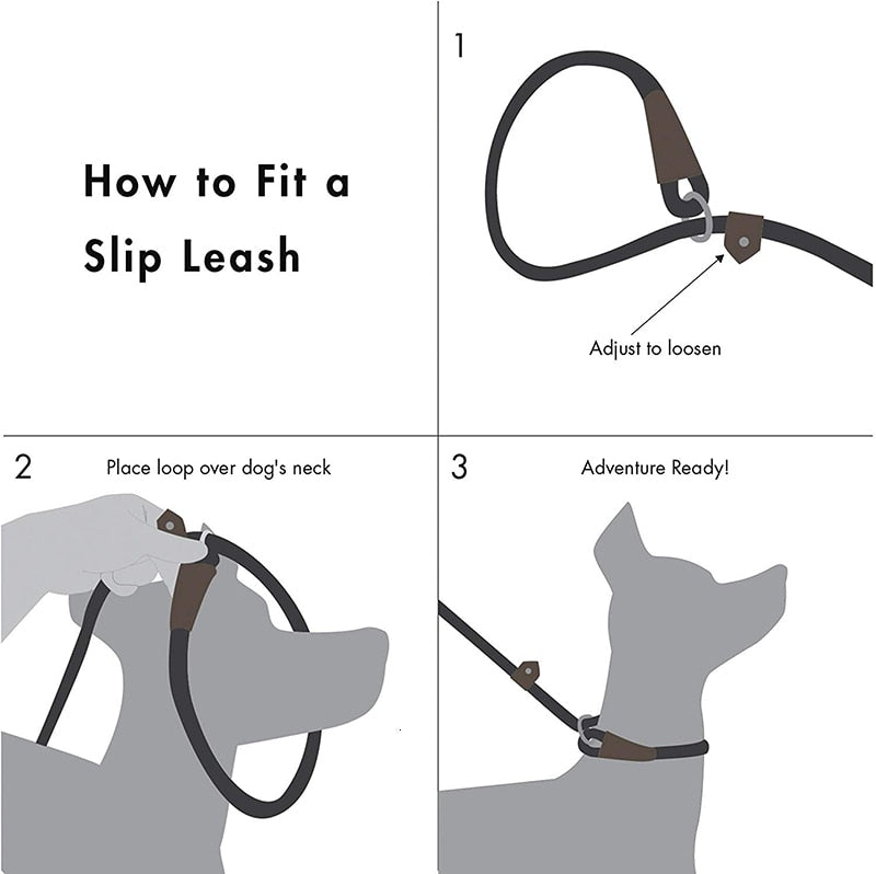 Benepaw Durable Slip Rope Dog Leash Collar 2 In 1 Adjustable Loop Collar Comfortable Small Meidum Large Pet Harness Leash