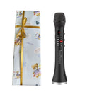 Lewinner L-699 Professionelles Karaoke-Mikrofon, kabelloser Lautsprecher, tragbares Bluetooth-Mikrofon für Telefonunterstützung, Aufnahme von TF-Wiedergabe