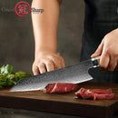 Grandsharp 8.2 Inch 67 Layers Japanese Damascus Knife Damascus Chef Knife VG-10 Steel Damascus Kitchen Knives Meat Chopping Gift