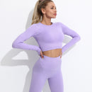 Fitness Frauen Yoga Set Nahtlose Sportbekleidung Workout Sport Leggings+Top+BH Gym Set Frau Gym Kleidung Shorts Sets 2021 HEISS