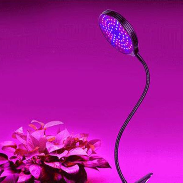 Phyto Lamp Timer Full Spectrum USB Grow Light Lamp For Plants Full Spactrum Lights For Plants Garden Flowers Herbs Grow Box