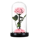 Eternal Preserved Roses In Glass Dome 5 Flower Heads Rose Forever Love Wedding Favor Mothers Day Gifts for Women Girlfriends