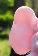 Drop Shipping 30cm Peek a Elephant Stuffed Plush Doll Electric Toy Talking Singing Musical Toy Elephant Play toys for Kids