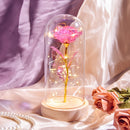 Weihnachtsgeschenk Schönheit und das Biest Konservierte Rosen im Glas Galaxy Rose Blume LED-Licht Kunstblume Geschenk für Frauen Mädchen
