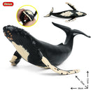 Oenux Large Size Sea Life Animals Weicher Weißer Hai Big Shark Actionfiguren Modell Lebensechtes Lernspielzeug Für Kinder Geschenk