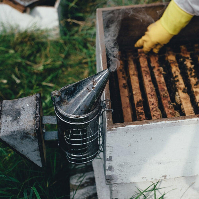 Edelstahl-Rauchsprüher Bienenraucher Imkerei Imker Gewidmet Räucherbienen Imkereiausrüstung 1 Stck