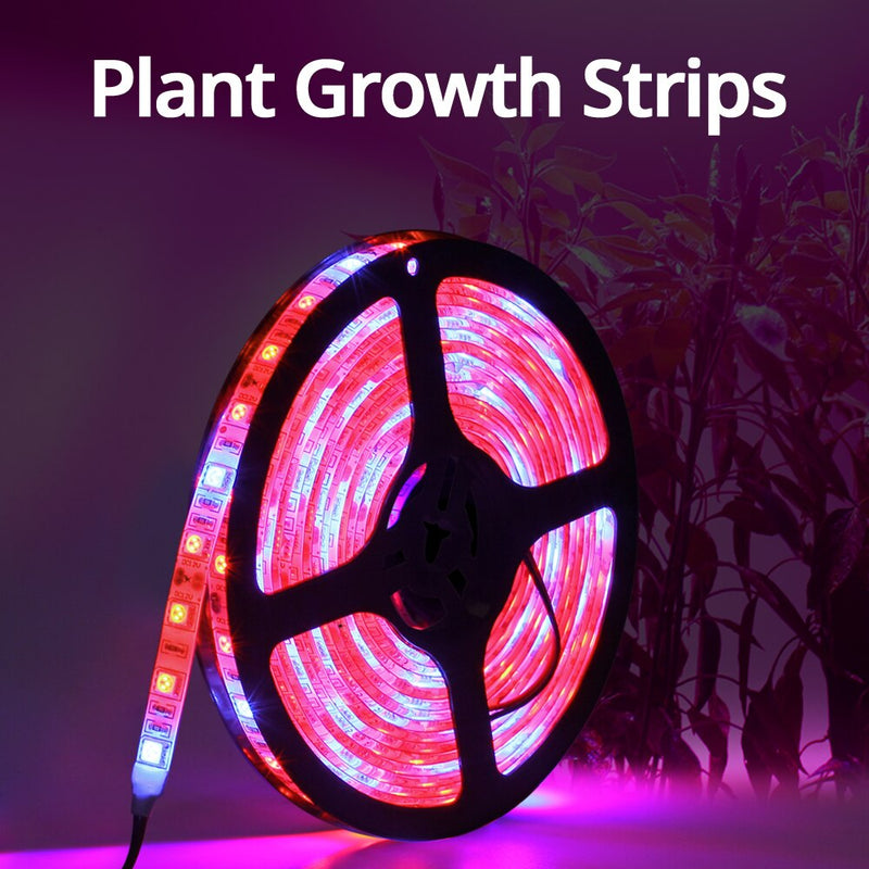 5M LED Phyto Lamps Full Spectrum LED Grow Light 300 LEDs 5050 Strip LED Fitolampy Grow Lights For Greenhouse Hydroponic plant