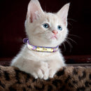 Katzenhalsband Personalisiertes ID-Halsband Reflektierendes Leder Kundenspezifische Gravur Name Telefonnummer Kostenlose Gravur Für Welpen Chihuahua 10