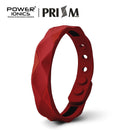Power Ionics Prism 2000 Ionen Titanium Germanium Armband Armband Balance Energiebalance des menschlichen Körpers