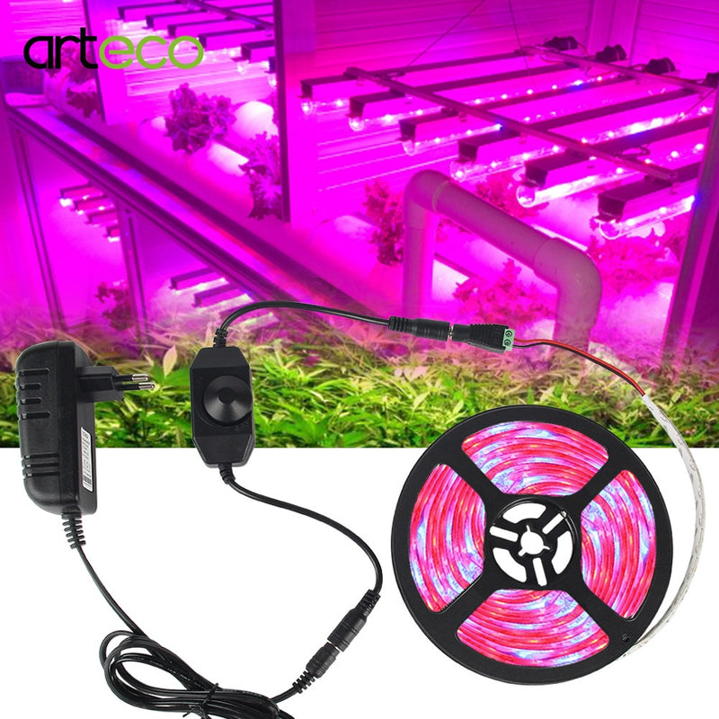 5M LED Phyto Lamps Full Spectrum LED Grow Light 300 LEDs 5050 Strip LED Fitolampy Grow Lights para invernadero planta hidropónica