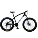 Love Freedom 7/21/24/27 Speed ​​​​Mountainbike 26 * 4.0 Fat Tire Bikes Stoßdämpfer Fahrrad Kostenlose Lieferung Snow Bike
