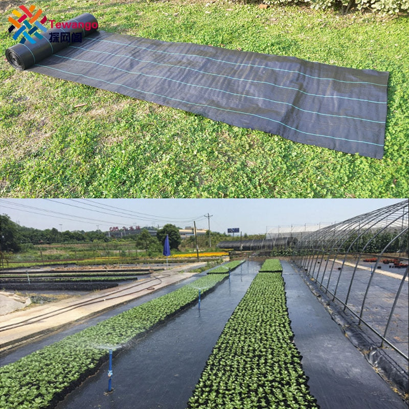 Tewango Garden Yard Ground Cloth Cover Landscape Heavy Duty Weed Barrier Block Greenhouse Plastic Mulch Custom size